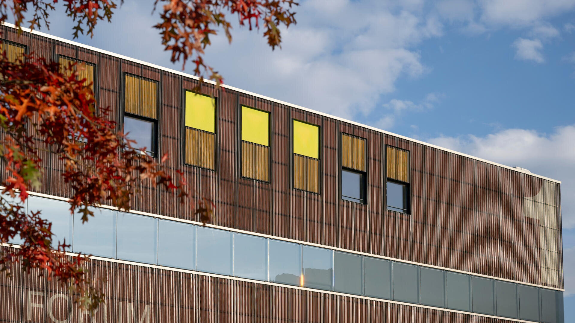 Ein modernes Gebäude mit einer Holzfassade und rechteckigen gelben und braunen Fenstern, die teilweise durch Herbstlaub verdeckt sind, unter einem teilweise bewölkten Himmel.