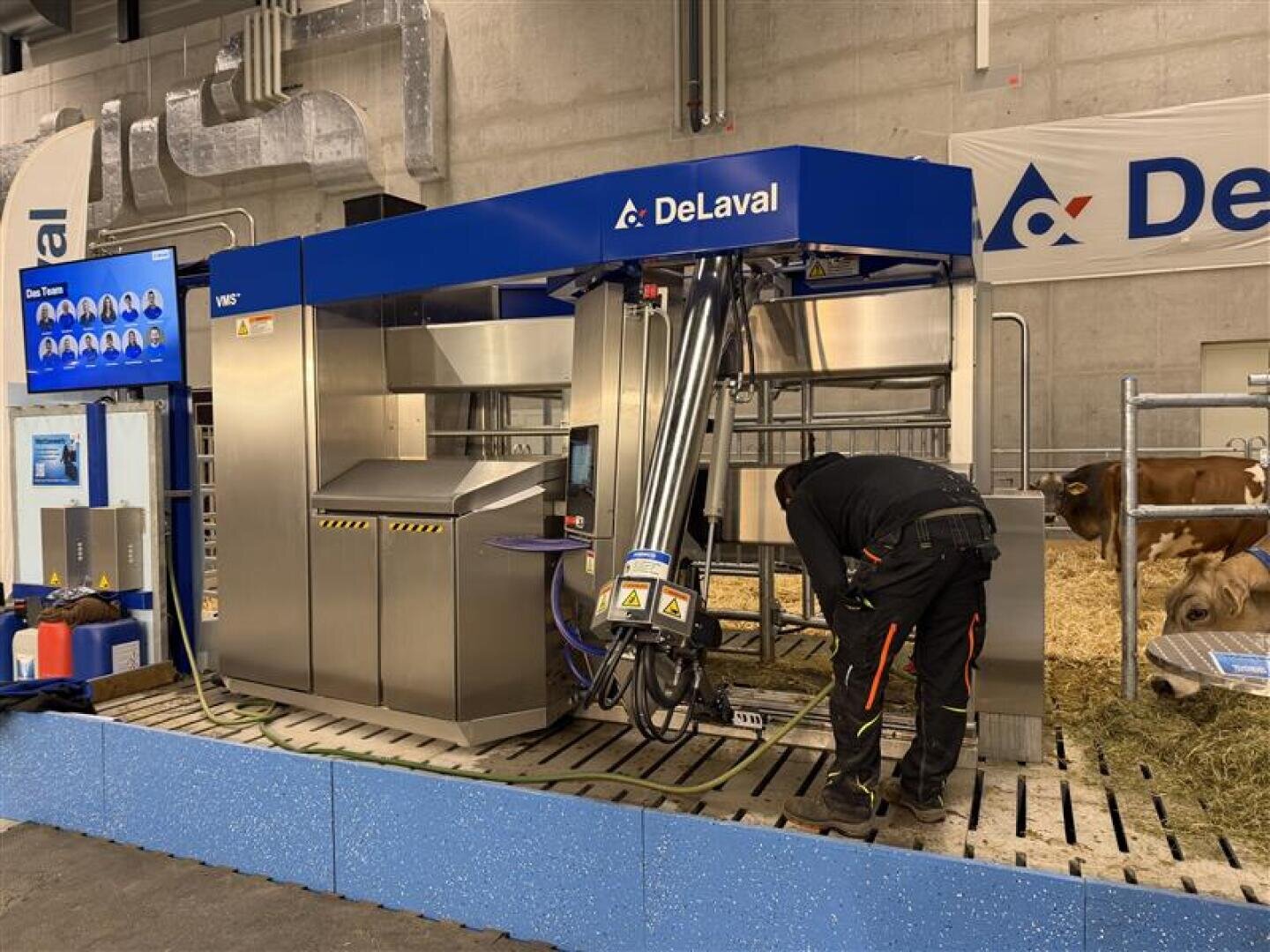 Eine Person arbeitet an einer DeLaval Melkmaschine auf einer Indoor-Ausstellung, mit Kühen in einem Stall neben der Maschine und einem DeLaval-Banner an der Wand im Hintergrund.
